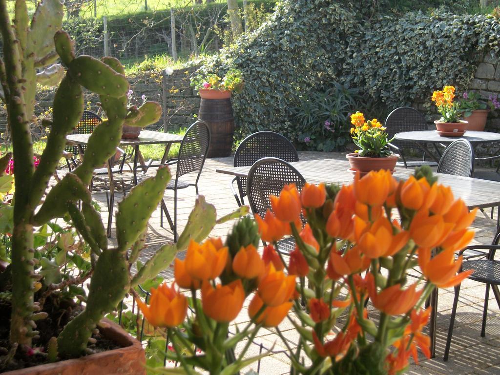 San Piero Patti Le Poiane B&B Vacanze المظهر الخارجي الصورة